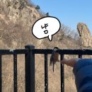 대둔산 케이블카 | ⛰️대둔산 케이블카, 카페 후기 - 요금, 운행시간, 메뉴 추천! 솔직후기