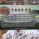간동면사무소 | 용화산자연휴양림 이용후기