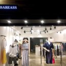 BAREASS2 이미지
