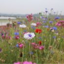 지리산터널펜션 이미지