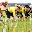 밥 한술 이미지