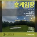 분당스크린골프클럽 | 서울근교 성남 분당 인도어 골프연습장 유명골프클럽 내돈내산 후기 총정리