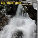 배순정려비 이미지