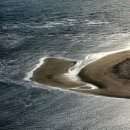 [생태체험] 명지철새탐조대 - 4월 28일(일) 오전 | [12월 초순] 부산 을숙도에서 철새를 만나다.