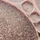 올리브의원 이미지