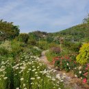 솔의정원 이미지