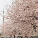 순성농협 하나로마트 이미지