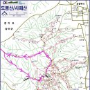 고려스포랙스 이미지