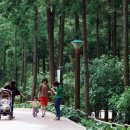 장평면행정복지센터 이미지