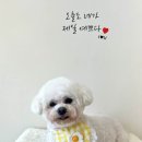 아뜰리에멍 이미지