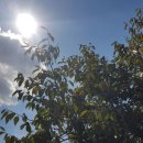 고운나래 이미지