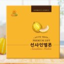 햇살디자인 이미지