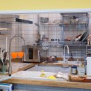 멍냥프라이 이미지