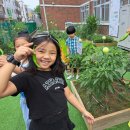 수곡초교 이미지