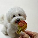 아씨네간식 이미지