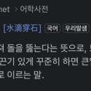파트라슈 이미지
