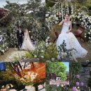 "1억 넘게 썼다" 송세라 결혼식 실토…박정진 신부가 '최고의 소비'로 꼽은 충격의 그것