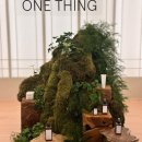 솔잎한의원 | ONETHING/ 원씽 북촌 팝업 스킨 번아웃엔 병풀로 쉬어가는 리커버리 하우스 방문 후기