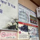 금강올갱이해장국 | 대전 송촌동, 금강옥천올갱이 해장국