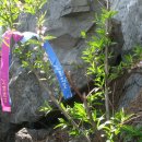 갈맷길(2코스) 이미지