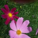 용곡약수터 이미지