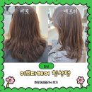 이쁘다헤어 침산점 | 대구 북구 침산동 밤늦게까지 하는 미용실 호유재생클리닉 후기