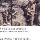 중국 카메라로 촬영된 북한모습 이미지