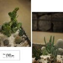 더 올림(The Ollim) 이미지