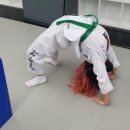 세심태권도 이미지