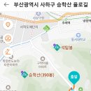 YOLO갈맷길 8코스 이미지