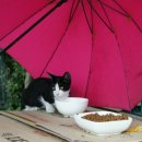 GS25 군산IC점 이미지