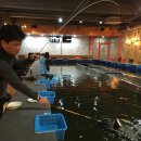 신세대 당구장 | 둔산동 실내낚시터 탐방