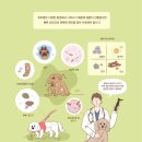 괴정동물병원 이미지