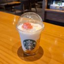 굿독 애견미용클럽 이미지