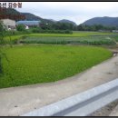 내서읍519 이미지