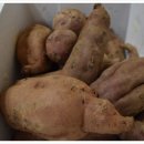 열호농장 이미지