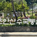 여름에 피는 꽃 수국 명소 서울 초안산 수국동산 방문 후기 및 주차장과 가는길 소개