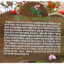 완산-19 이미지