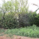 용당 경로당 이미지