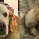 감동농장 이미지