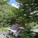 봉화펜션 | 별빛뜰애에서 즐긴 힐링 캠핑🌲 봉화캠핑장 &amp; 펜션 후기