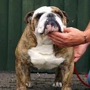 마이스타일 이미지