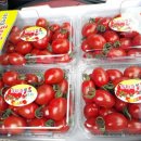 사비농장 이미지