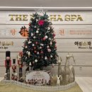 탕정온천 더프라하 스파 이미지