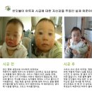 평화제일오투그란데에버 네이버블로그