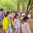 광남유치원 이미지