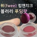 베스트컬러 | [공지] 퓌 립앤치크 블러리 푸딩팟 내돈내산 후기｜베스트 컬러 보스(MV05) vs 배디(MV03) 비교 리뷰｜