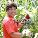 가래울농장 이미지