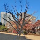 현대조경자재