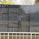 모슬포고등어 이미지